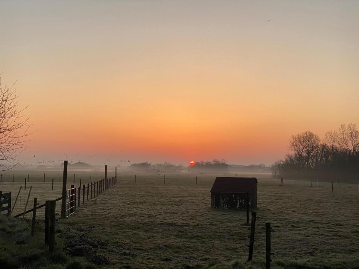 Logies Boszicht Texel Bed & Breakfast De Koog  Bagian luar foto